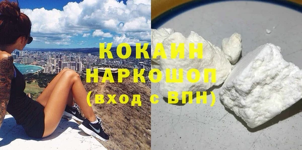 ПСИЛОЦИБИНОВЫЕ ГРИБЫ Абаза