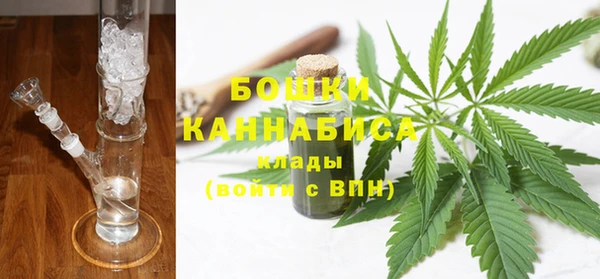 ПСИЛОЦИБИНОВЫЕ ГРИБЫ Абаза