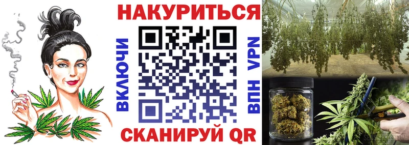 Канабис гибрид  цены наркотик  Сясьстрой 